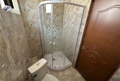 Casă individuală cu 4 camere cu Canalizare în P-ța Alba Iulia - 24