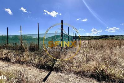 Spațiu comercial, în Corbeanca - 9