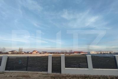 Teren Construcții intravilan de 46000 mp, în Romanești - 3