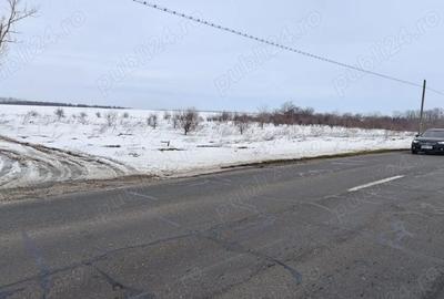 Spațiu comercial, în Pasărea - 2