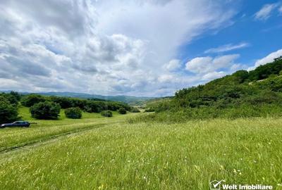 Oportunitate investitie, teren cu panorama pentru cabane - 1