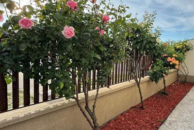 Casă cu 4 camere în Central - 3