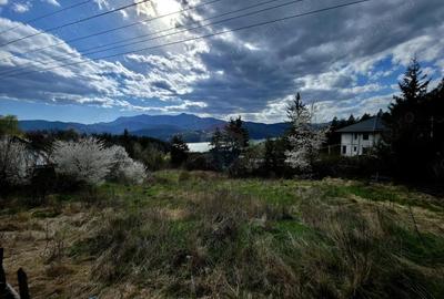 Teren de 941 mp, în Hangu - 10