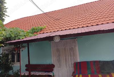 Casă cu 4 camere în Chișineu-Criș - 4