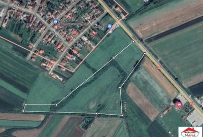 Teren de 10000 mp, în Dorolț - 6