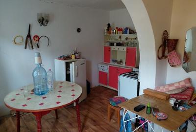 Casă cu 3 camere în Ginta - 5