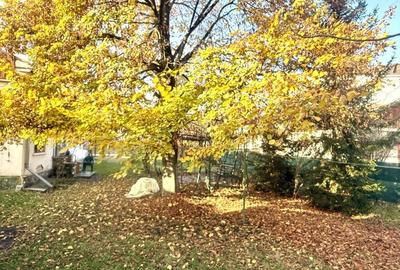 Casă 122 mp+garaj,  teren 1771 mp-Campina aproape de școala centrală! - 23