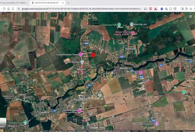 Teren extravilan 18.200 mp Saftica Balotesti - 5