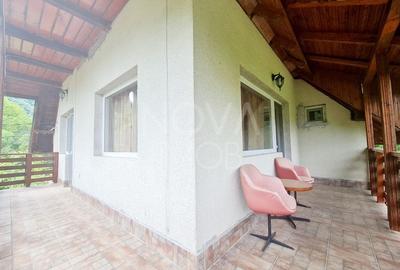 Casa de vacanta - Valea Lotrioarei, Sibiu - 11