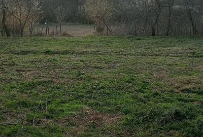 Casă cu 3 camere în Vârleni - 1