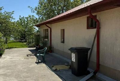 Casă cu 3 camere cu Teren 4000 Mp în Letca Nouă - 10