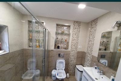 Casă cu 3 camere cu Teren 390 Mp în Bariera Vâlcii - 8