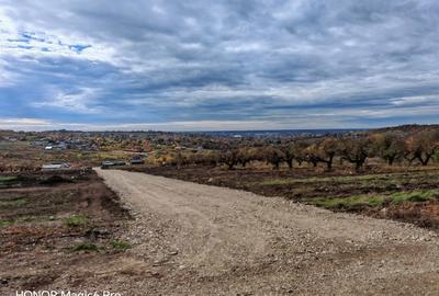 Spațiu comercial, în Săldăbagiu de Munte - 6