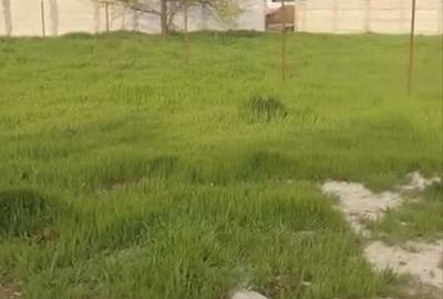 Spațiu comercial, în Berceni - 1
