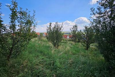 Teren de 900 mp, în Aiton - 5