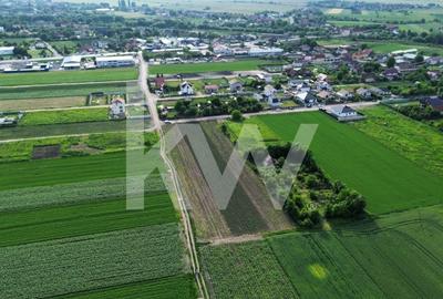 Teren intravilan 34.640 mp Stupini, str. Baciului-Luncii - 11