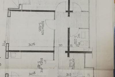 Apartament cu 3 camere decomandat în Nufărul - 8