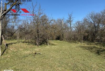 Casă cu 4 camere cu Teren 7701 Mp în Vințu de Jos - 10