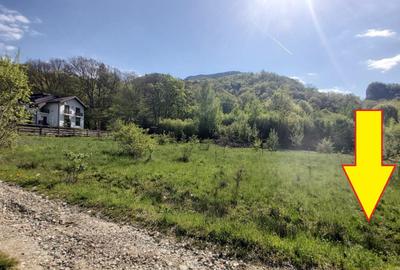 Vanzare 1266 mp teren superb Cheile Rasnoavei la munte langa padure si pensiuni - 16