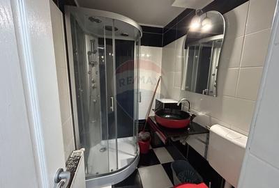 Apartament cu 2 camere de inchiriat in zona Central - 5