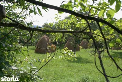 Teren de 5844 mp, în Valea Danului - 3