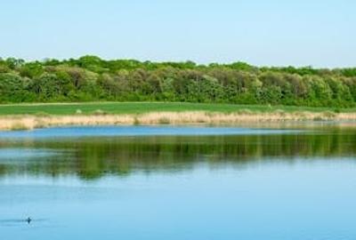 Teren Construcții intravilan de 200000 mp, în Grădiștea - 1