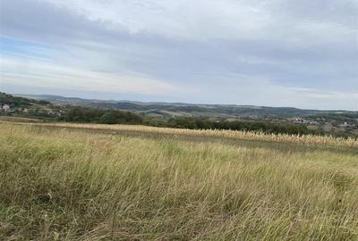 Teren extravilan de vanzare in Tileagd - 3166 mp cu panorama superba - 16