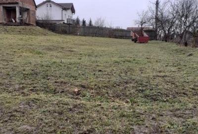 Teren de inchiriat in Sura Mare - 3