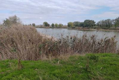 Spațiu comercial, în Berceni