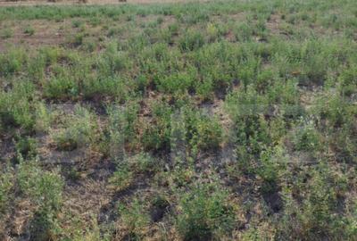 Teren intravilan Craiova, 400 mp, zona Releu - 1