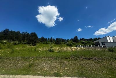 Teren 1370mp cu front de 38 mp Donath Park Teren 1370mp cu front de 38 mp Donath Park - 2