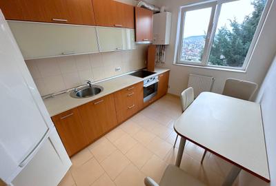 Apartament cu 2 camere decomandat, mobilat în Bună Ziua - 8