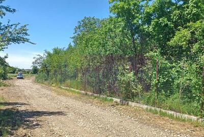 Sabareni, lot de casa 500 mp, curent langa teren - 5