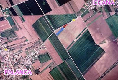 Teren de 3100 mp, în Icoana - 2