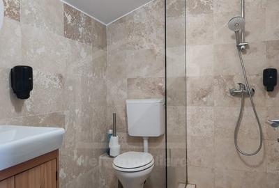 Europa, Eugen Ionesco, Duplex 215 mp utili,  S+P+E+M,  ambele disponibile Europa, Eugen Ionesco, Duplex 215 mp utili,  S+P+E+M,  ambele disponibile - 3