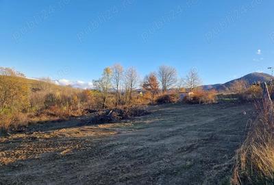 Teren de 1000 mp, în Cisnădioara - 1
