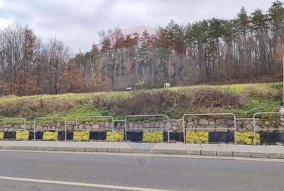 Oportunitate investi?ie B. Felix teren intravilan cu PUZ 1157 mp DN 76 - 8