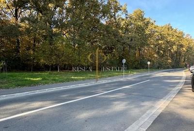 Apartament cu 2 camere - vedere la pădure| Ghiroda - 8