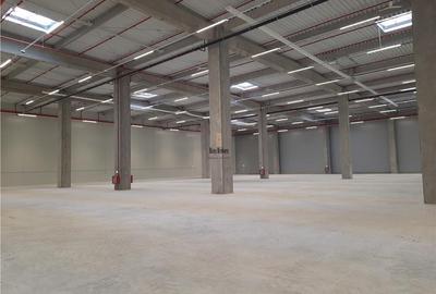 Spatiu Industrial - 5200 mp - Logistica - Productie - Depozitare - Distributie - 3