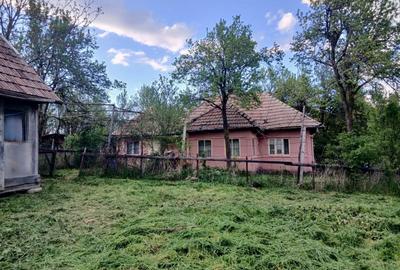 Casă cu 3 camere în Roșieni - 6