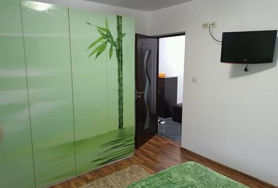 Apartament cu 2 camere decomandat, mobilat în Valea Lupului - 11