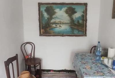 Casă cu 3 camere cu Teren 2500 Mp în Vutcani - 3