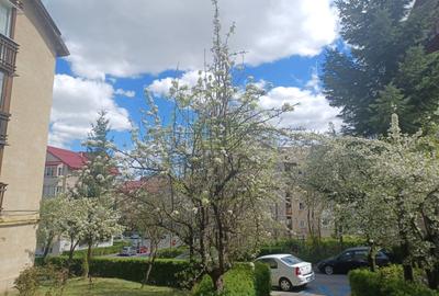 Apartament cu 2 camere decomandat în Răcădău - 3