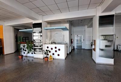 Birou, de 154.30999755859 mp, în Unirii - 56