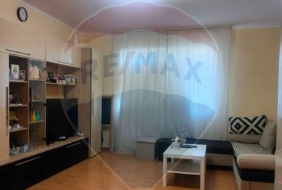 Casa la tara in satul Retis, comuna Bradeni, aproape de ... - 25