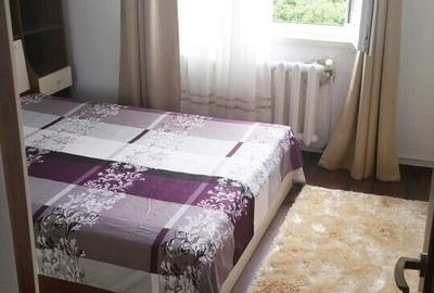 Apartament cu 2 camere decomandat, mobilat în Cetate - 3