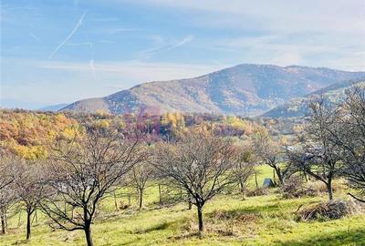 Teren intravilan de 1000 mp, în Sibiel - 4