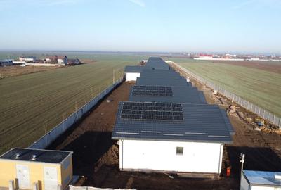 Casă individuală cu 4 camere cu Canalizare în Frumușani - 12