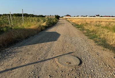 Teren intravilan 2.500 mp cu dublă deschidere – Măgurele, Ilfov - 4