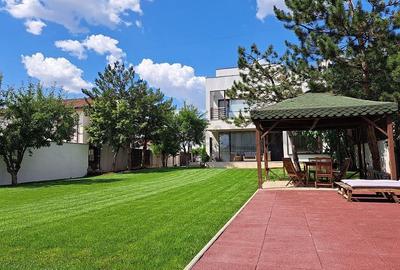 Vila in apropiere de IANCU NICOLAE-JOLIE VILLE - 24